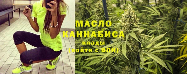 гидра Абаза