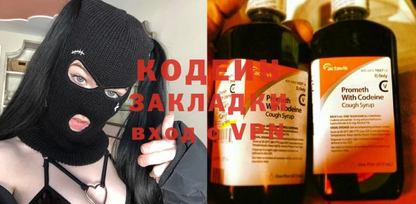 гидра Абаза