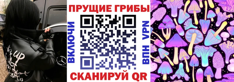 Галлюциногенные грибы ЛСД  ссылка на мегу рабочий сайт  Алзамай 